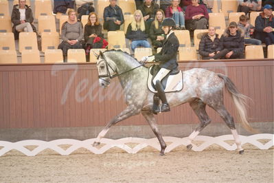 Dansk Rideforbunds Championats finaler 2019 dressur
Dansk Rideforbunds Championats finaler 2018
4års
Nøgleord: highfive fuglsang;anders uve sjøbeck hoeck