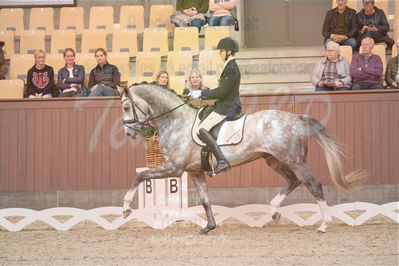 Dansk Rideforbunds Championats finaler 2019 dressur
Dansk Rideforbunds Championats finaler 2018
4års
Nøgleord: highfive fuglsang;anders uve sjøbeck hoeck