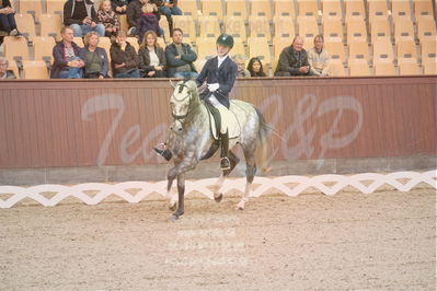 Dansk Rideforbunds Championats finaler 2019 dressur
Dansk Rideforbunds Championats finaler 2018
4års
Nøgleord: highfive fuglsang;anders uve sjøbeck hoeck