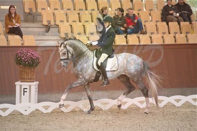 Dansk Rideforbunds Championats finaler 2019 dressur
Dansk Rideforbunds Championats finaler 2018
4års
Nøgleord: highfive fuglsang;anders uve sjøbeck hoeck