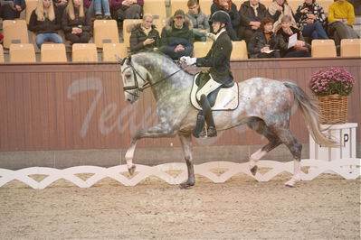 Dansk Rideforbunds Championats finaler 2019 dressur
Dansk Rideforbunds Championats finaler 2018
4års
Nøgleord: highfive fuglsang;anders uve sjøbeck hoeck