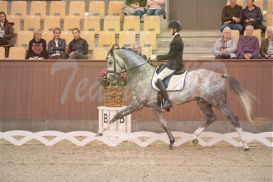 Dansk Rideforbunds Championats finaler 2019 dressur
Dansk Rideforbunds Championats finaler 2018
4års
Nøgleord: highfive fuglsang;anders uve sjøbeck hoeck