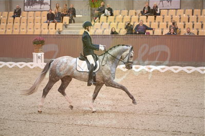 Dansk Rideforbunds Championats finaler 2019 dressur
Dansk Rideforbunds Championats finaler 2018
4års
Nøgleord: highfive fuglsang;anders uve sjøbeck hoeck