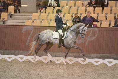 Dansk Rideforbunds Championats finaler 2019 dressur
Dansk Rideforbunds Championats finaler 2018
4års
Nøgleord: highfive fuglsang;anders uve sjøbeck hoeck