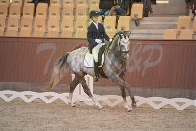 Dansk Rideforbunds Championats finaler 2019 dressur
Dansk Rideforbunds Championats finaler 2018
4års
Nøgleord: highfive fuglsang;anders uve sjøbeck hoeck