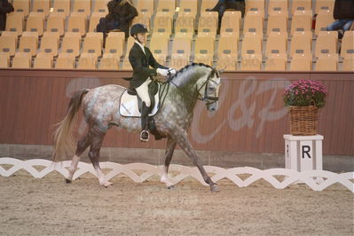 Dansk Rideforbunds Championats finaler 2019 dressur
Dansk Rideforbunds Championats finaler 2018
4års
Nøgleord: highfive fuglsang;anders uve sjøbeck hoeck