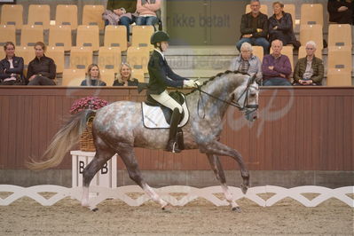 Dansk Rideforbunds Championats finaler 2019 dressur
Dansk Rideforbunds Championats finaler 2018
4års
Nøgleord: highfive fuglsang;anders uve sjøbeck hoeck
