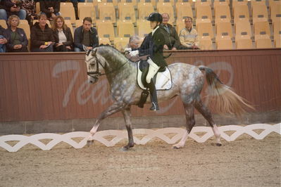 Dansk Rideforbunds Championats finaler 2019 dressur
Dansk Rideforbunds Championats finaler 2018
4års
Nøgleord: highfive fuglsang;anders uve sjøbeck hoeck