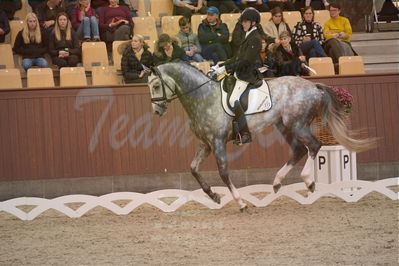 Dansk Rideforbunds Championats finaler 2019 dressur
Dansk Rideforbunds Championats finaler 2018
4års
Nøgleord: highfive fuglsang;anders uve sjøbeck hoeck