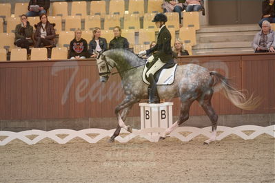 Dansk Rideforbunds Championats finaler 2019 dressur
Dansk Rideforbunds Championats finaler 2018
4års
Nøgleord: highfive fuglsang;anders uve sjøbeck hoeck