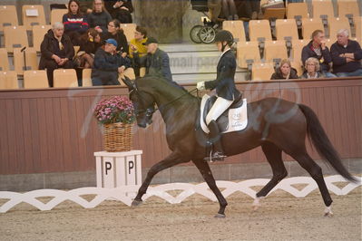 Dansk Rideforbunds Championats finaler 2019 dressur
Dansk Rideforbunds Championats finaler 2018
4års
Nøgleord: sweetness;silje bakken
