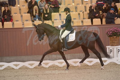 Dansk Rideforbunds Championats finaler 2019 dressur
Dansk Rideforbunds Championats finaler 2018
4års
Nøgleord: sweetness;silje bakken