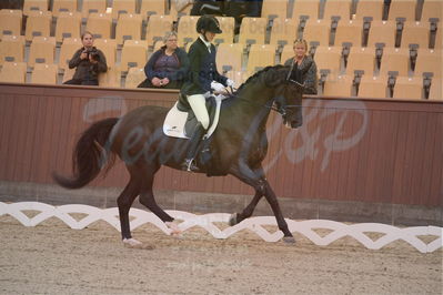 Dansk Rideforbunds Championats finaler 2019 dressur
Dansk Rideforbunds Championats finaler 2018
4års
Nøgleord: sweetness;silje bakken