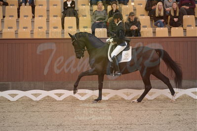 Dansk Rideforbunds Championats finaler 2019 dressur
Dansk Rideforbunds Championats finaler 2018
4års
Nøgleord: sweetness;silje bakken