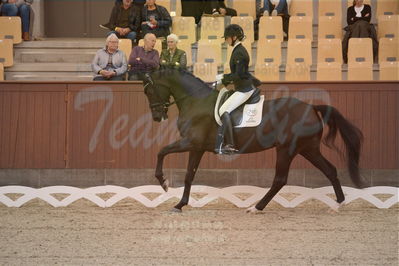 Dansk Rideforbunds Championats finaler 2019 dressur
Dansk Rideforbunds Championats finaler 2018
4års
Nøgleord: sweetness;silje bakken