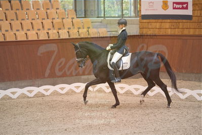 Dansk Rideforbunds Championats finaler 2019 dressur
Dansk Rideforbunds Championats finaler 2018
4års
Nøgleord: logo's gaya;emma ahlberg