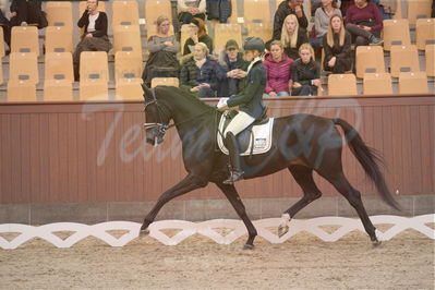 Dansk Rideforbunds Championats finaler 2019 dressur
Dansk Rideforbunds Championats finaler 2018
4års
Nøgleord: logo's gaya;emma ahlberg