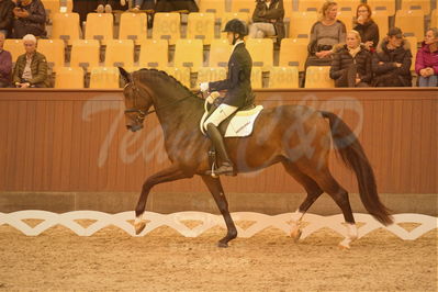 Dansk Rideforbunds Championats finaler 2019 dressur
Dansk Rideforbunds Championats finaler 2018
4års
Nøgleord: valløs dicaprio;anders uve sjøbeck hoeck