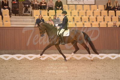 Dansk Rideforbunds Championats finaler 2019 dressur
Dansk Rideforbunds Championats finaler 2018
4års
Nøgleord: valløs dicaprio;anders uve sjøbeck hoeck