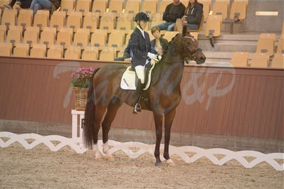 Dansk Rideforbunds Championats finaler 2019 dressur
Dansk Rideforbunds Championats finaler 2018
4års
Nøgleord: valløs dicaprio;anders uve sjøbeck hoeck