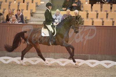 Dansk Rideforbunds Championats finaler 2019 dressur
Dansk Rideforbunds Championats finaler 2018
4års
Nøgleord: valløs dicaprio;anders uve sjøbeck hoeck