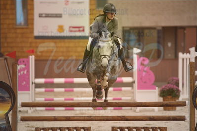 Dansk Rideforbunds Championats finaler 2018 spring
Dansk Rideforbunds Championats finaler 2018
4 års kvl
Nøgleord: gitte dahl;kaneblue city c