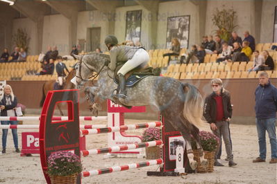 Dansk Rideforbunds Championats finaler 2018 spring
Dansk Rideforbunds Championats finaler 2018
4 års kvl
Nøgleord: gitte dahl;kaneblue city c