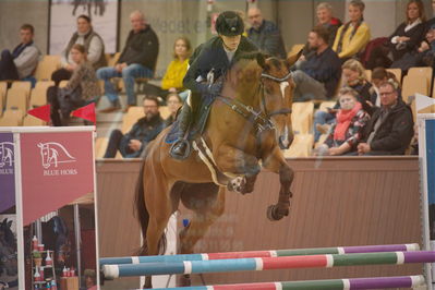 Dansk Rideforbunds Championats finaler 2018 spring
Dansk Rideforbunds Championats finaler 2018
4 års kvl
Nøgleord: zucchero;pernille tribler