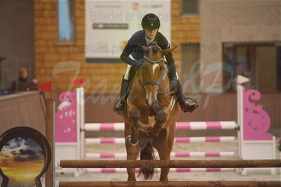 Dansk Rideforbunds Championats finaler 2018 spring
Dansk Rideforbunds Championats finaler 2018
4 års kvl
Nøgleord: zucchero;pernille tribler