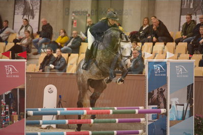 Dansk Rideforbunds Championats finaler 2018 spring
Dansk Rideforbunds Championats finaler 2018
4 års kvl
Nøgleord: king kong;camilla lund-pedersen