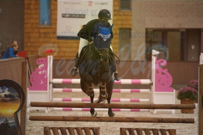 Dansk Rideforbunds Championats finaler 2018 spring
Dansk Rideforbunds Championats finaler 2018
4 års kvl
Nøgleord: celindo by uniqhors;pernille bundgaard