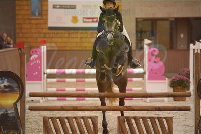 Dansk Rideforbunds Championats finaler 2018 spring
Dansk Rideforbunds Championats finaler 2018
4 års kvl
Nøgleord: syvhøjegårds caviar;katrine højholt