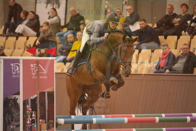 Dansk Rideforbunds Championats finaler 2018 spring
Dansk Rideforbunds Championats finaler 2018
4 års kvl
Nøgleord: calgrafi dwb;gitte dahl