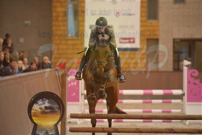 Dansk Rideforbunds Championats finaler 2018 spring
Dansk Rideforbunds Championats finaler 2018
4 års kvl
Nøgleord: calgrafi dwb;gitte dahl