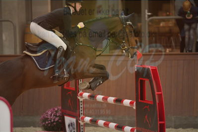 Dansk Rideforbunds Championats finaler 2018 spring
Dansk Rideforbunds Championats finaler 2018
5 års kval
Nøgleord: rosengårdens francois;rikke rosengaard hansen