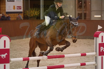 Dansk Rideforbunds Championats finaler 2018 spring
Dansk Rideforbunds Championats finaler 2018
5 års kval
Nøgleord: rosengårdens francois;rikke rosengaard hansen