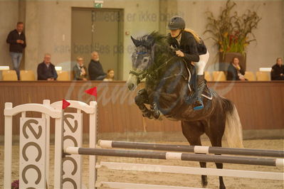 Dansk Rideforbunds Championats finaler 2018 spring
Dansk Rideforbunds Championats finaler 2018
5 års kval
Nøgleord: hb's gucci;melissa  bundgaard