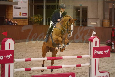 Dansk Rideforbunds Championats finaler 2018 spring
Dansk Rideforbunds Championats finaler 2018
5 års kval
Nøgleord: elmegårdens dakota;torben frandsen