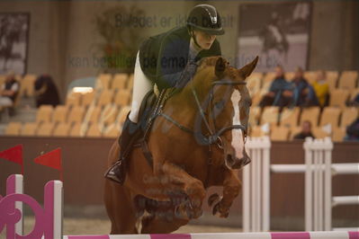 Dansk Rideforbunds Championats finaler 2019 spring
Dansk Rideforbunds Championats finaler 2018
6 års kval
Nøgleord: stenbækgårds mojito;emilie louise wei laby