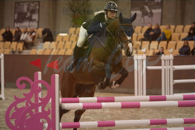 Dansk Rideforbunds Championats finaler 2019 spring
Dansk Rideforbunds Championats finaler 2018
6 års kval
Nøgleord: chilli 34;claudia pedersen