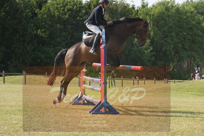 Drf championat spring kvl. 5års
Nøgleord: pt;thomas phil jensen;dempsey kdw z