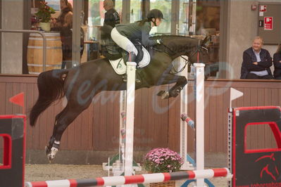 Dansk Rideforbunds Championats finaler 2019 spring
Dansk Rideforbunds Championats finaler 2018
4års
Nøgleord: holly ask;maria bjørnkjær bennedsgaard