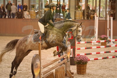 Dansk Rideforbunds Championats finaler 2019 spring
Dansk Rideforbunds Championats finaler 2018
4års
Nøgleord: king kong;camilla lund-pedersen