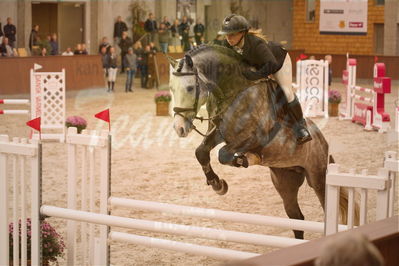 Dansk Rideforbunds Championats finaler 2019 spring
Dansk Rideforbunds Championats finaler 2018
4års
Nøgleord: king kong;camilla lund-pedersen