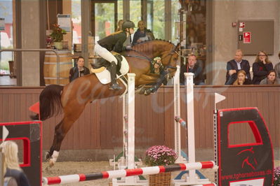 Dansk Rideforbunds Championats finaler 2019 spring
Dansk Rideforbunds Championats finaler 2018
4års
Nøgleord: vong's brunello;mia oudal