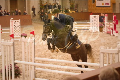 Dansk Rideforbunds Championats finaler 2019 spring
Dansk Rideforbunds Championats finaler 2018
4års
Nøgleord: hailey lamei;sabine korfitz christensen