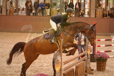 Dansk Rideforbunds Championats finaler 2019 spring
Dansk Rideforbunds Championats finaler 2018
4års
Nøgleord: second edition;sandra enemark