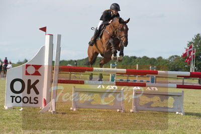 Drf championat spring kvl. 5års
Nøgleord: pt;laura marie larsen;mosgaards hard cash