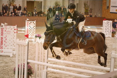 Dansk Rideforbunds Championats finaler 2019 spring
Dansk Rideforbunds Championats finaler 2018
4års
Nøgleord: p diddy;pernille tribler