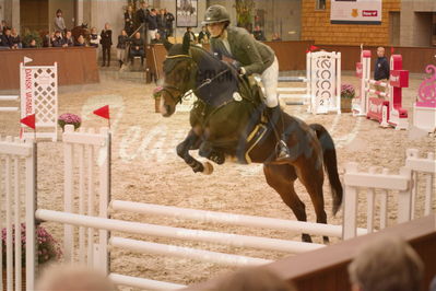 Dansk Rideforbunds Championats finaler 2019 spring
Dansk Rideforbunds Championats finaler 2018
4års
Nøgleord: glen scotia z;camilla vincents